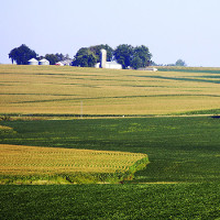 USA 01 Cornfields Of Iowa Darcy Maulsby IStock 000058599404 Large S