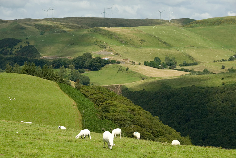 Wales_04_Stock photo © septemberlegs_iStock_000011369888_Large.jpg