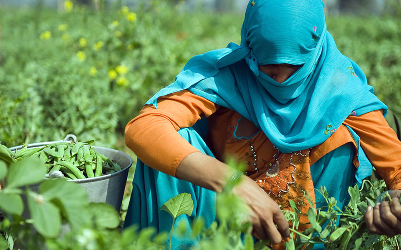 Bilde-32_Woman-working_uniquela-India_GettyImages-140825611.jpg