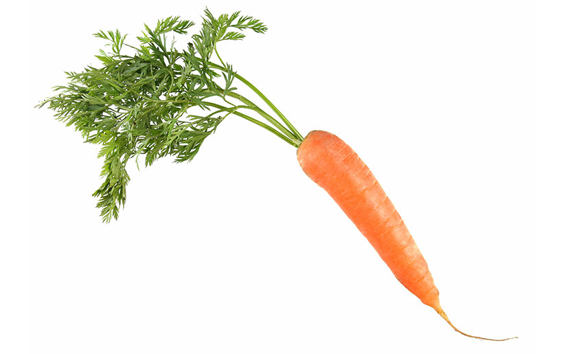 Bilde-20_Carrot_pixitive_iStock_000007888268Large.jpg